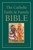 The NRSV Catholic Faith and Family Bible