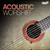 Acoustic Worship 2 CDs